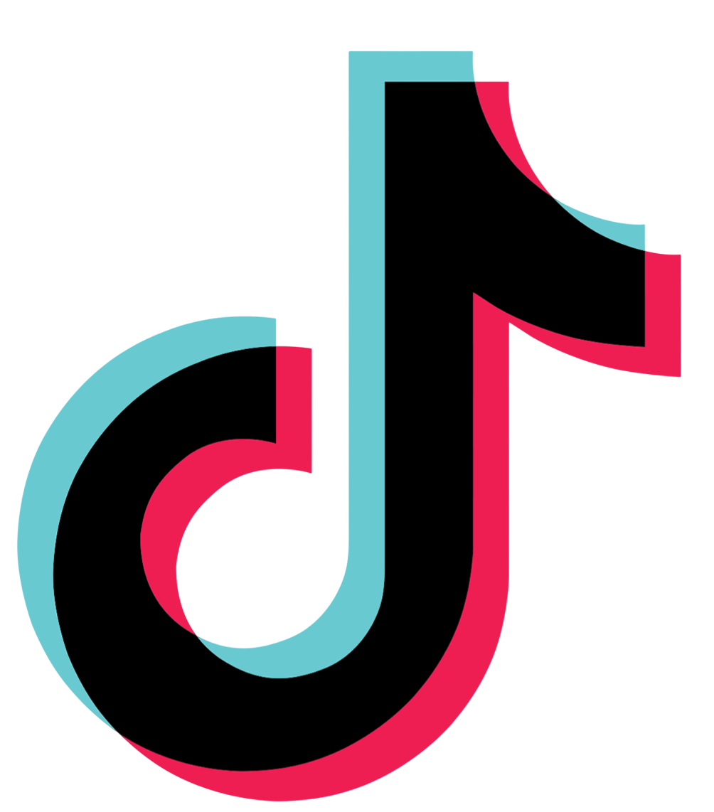 TikTok Logo
